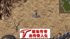 传奇道士才是一门最有选择性的职业。