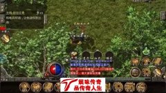 传奇私服1.80版本也能玩出新的天地。。